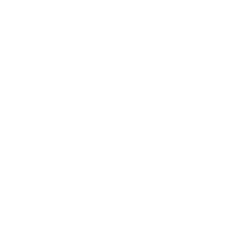 Axon Displays logo